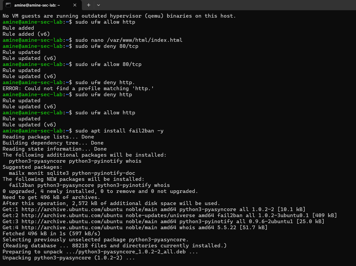 UFW and Fail2Ban Status